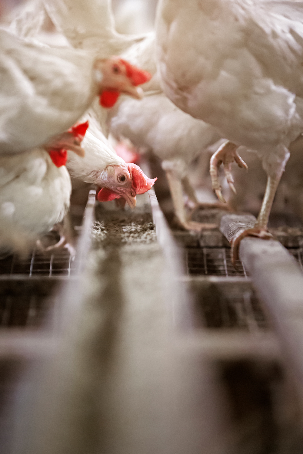 Jørgen Skov Christensen (023123)