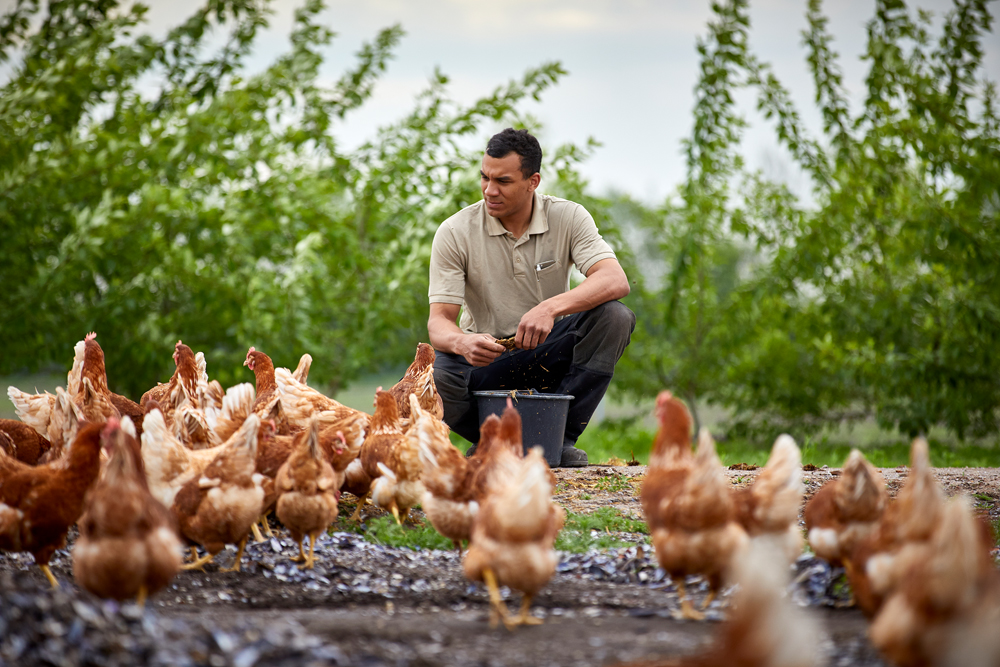 Patrick Douglas Blenner (125633 & 050531)