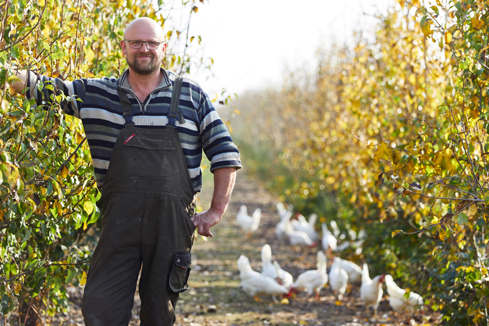 Tvedemose Æg (016850 & 073319)