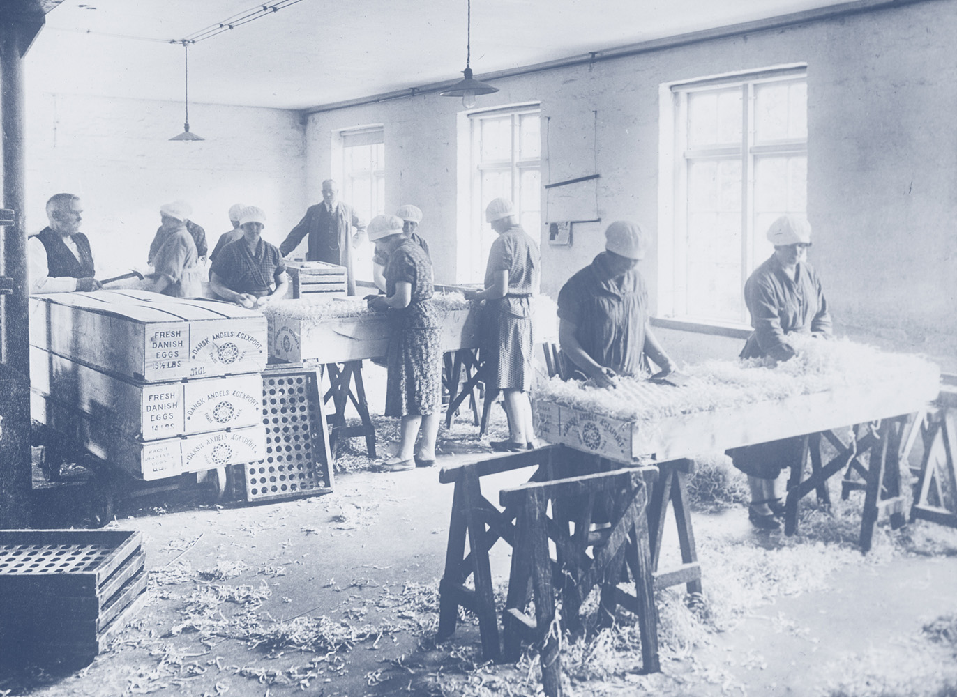 COOPERATIVE SINCE 1895