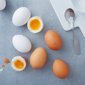 THE COLOR AND SIZE OF THE EGG