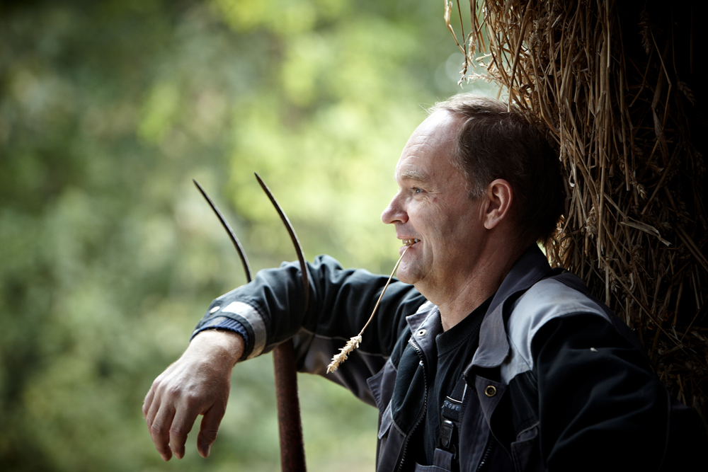 Susvind Æg (051213)